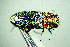  ( - BGE_00646_E08)  @11 [ ] CreativeCommons - Attribution Share - Alike (2025) Unspecified Unspecified