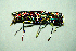  ( - BGE_00646_E08)  @11 [ ] CreativeCommons - Attribution Share - Alike (2025) Unspecified Unspecified