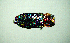  ( - BGE_00646_E09)  @11 [ ] CreativeCommons - Attribution Share - Alike (2025) Unspecified Unspecified