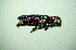  ( - BGE_00646_E09)  @11 [ ] CreativeCommons - Attribution Share - Alike (2025) Unspecified Unspecified