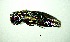  ( - BGE_00646_E10)  @11 [ ] CreativeCommons - Attribution Share - Alike (2025) Unspecified Unspecified