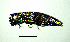  ( - BGE_00646_E10)  @11 [ ] CreativeCommons - Attribution Share - Alike (2025) Unspecified Unspecified