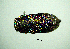  ( - BGE_00646_F05)  @11 [ ] CreativeCommons - Attribution Share - Alike (2025) Unspecified Unspecified