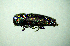  ( - BGE_00646_F05)  @11 [ ] CreativeCommons - Attribution Share - Alike (2025) Unspecified Unspecified