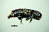  ( - BGE_00646_F06)  @11 [ ] CreativeCommons - Attribution Share - Alike (2025) Unspecified Unspecified
