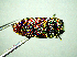  ( - BGE_00646_F08)  @11 [ ] CreativeCommons - Attribution Share - Alike (2025) Unspecified Unspecified