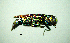  ( - BGE_00646_F08)  @11 [ ] CreativeCommons - Attribution Share - Alike (2025) Unspecified Unspecified