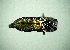  ( - BGE_00646_F12)  @11 [ ] CreativeCommons - Attribution Share - Alike (2025) Unspecified Unspecified