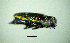  ( - BGE_00646_F12)  @11 [ ] CreativeCommons - Attribution Share - Alike (2025) Unspecified Unspecified