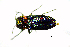  ( - BGE_00646_H02)  @11 [ ] CreativeCommons - Attribution Share - Alike (2025) Unspecified Unspecified