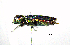  ( - BGE_00646_H02)  @11 [ ] CreativeCommons - Attribution Share - Alike (2025) Unspecified Unspecified