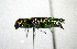  ( - BGE_00646_H03)  @11 [ ] CreativeCommons - Attribution Share - Alike (2025) Unspecified Unspecified
