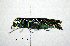  ( - BGE_00646_H04)  @11 [ ] CreativeCommons - Attribution Share - Alike (2025) Unspecified Unspecified