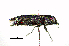  ( - BGE_00646_H09)  @11 [ ] CreativeCommons - Attribution Share - Alike (2025) Unspecified Unspecified