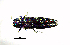 ( - BGE_00646_H11)  @11 [ ] CreativeCommons - Attribution Share - Alike (2025) Unspecified Unspecified