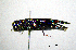  ( - BGE_00646_H11)  @11 [ ] CreativeCommons - Attribution Share - Alike (2025) Unspecified Unspecified