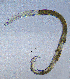  ( - BGE_00647_A04)  @11 [ ] CreativeCommons - Attribution Share - Alike (2025) Unspecified Unspecified