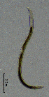 ( - BGE_00647_B03)  @11 [ ] CreativeCommons - Attribution Share - Alike (2025) Unspecified Unspecified