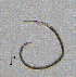  ( - BGE_00647_C07)  @11 [ ] CreativeCommons - Attribution Share - Alike (2025) Unspecified Unspecified