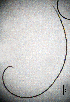  ( - BGE_00647_C11)  @11 [ ] CreativeCommons - Attribution Share - Alike (2025) Unspecified Unspecified