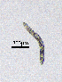  ( - BGE_00647_E01)  @11 [ ] CreativeCommons - Attribution Share - Alike (2025) Unspecified Unspecified