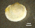  ( - BGE_00648_E02)  @11 [ ] CreativeCommons Attribution Non-Commercial (2024) Stefania Klayn Bulgarian Academy of Sciences, Institute of Biodiversity and Ecosystem Research