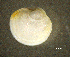  ( - BGE_00648_E03)  @11 [ ] CreativeCommons Attribution Non-Commercial (2024) Stefania Klayn Bulgarian Academy of Sciences, Institute of Biodiversity and Ecosystem Research