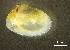  ( - BGE_00648_E05)  @11 [ ] CreativeCommons Attribution Non-Commercial (2024) Stefania Klayn Bulgarian Academy of Sciences, Institute of Biodiversity and Ecosystem Research