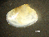  ( - BGE_00648_E07)  @11 [ ] CreativeCommons Attribution Non-Commercial (2024) Stefania Klayn Bulgarian Academy of Sciences, Institute of Biodiversity and Ecosystem Research