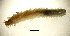  ( - BGE_00649_F05)  @11 [ ] CreativeCommons Attribution Non-Commercial (2024) Stefania Klayn Bulgarian Academy of Sciences, Institute of Biodiversity and Ecosystem Research