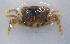  ( - UNMdP-ZINV-020)  @13 [ ] CreativeCommons - Attribution Non-Commercial Share-Alike (2012) Unspecified Laboratorio de Zoología de Invertebrados