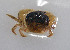  ( - UNMdP-ZINV-027)  @12 [ ] CreativeCommons - Attribution Non-Commercial Share-Alike (2012) Unspecified Laboratorio de Zoología de Invertebrados