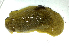  ( - UNMdP-ZINV-182)  @11 [ ] CreativeCommons - Attribution Non-Commercial Share-Alike (2014) Unspecified Laboratorio de Zoología de Invertebrados