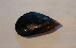  ( - CNP_INV-MYT1)  @14 [ ] No Rights Reserved (2013) Unspecified Unspecified