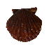  (Aequipecten tehuelchus - CNP_INV-VIE1)  @11 [ ] No Rights Reserved (2013) Unspecified Unspecified