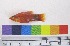  ( - OM 113)  @14 [ ] Unspecified (default): All Rights Reserved  Unspecified Unspecified