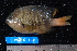  ( - NBE0037)  @13 [ ] No Rights Reserved  Unspecified Unspecified