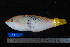  ( - NBE0047)  @14 [ ] No Rights Reserved  Unspecified Unspecified