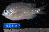  ( - NBE0097)  @13 [ ] No Rights Reserved  Unspecified Unspecified