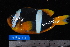  ( - NBE0191)  @11 [ ] No Rights Reserved  Unspecified Unspecified