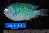  ( - NBE0259)  @14 [ ] No Rights Reserved  Unspecified Unspecified