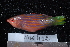  ( - NBE0412)  @13 [ ] No Rights Reserved  Unspecified Unspecified