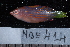  ( - NBE0414)  @12 [ ] No Rights Reserved  Unspecified Unspecified