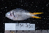  ( - NBE0430)  @14 [ ] No Rights Reserved  Unspecified Unspecified