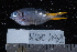  ( - NBE0431)  @13 [ ] No Rights Reserved  Unspecified Unspecified