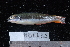  ( - NBE0435)  @13 [ ] No Rights Reserved  Unspecified Unspecified