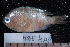  ( - NBE0440)  @13 [ ] No Rights Reserved  Unspecified Unspecified