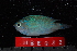  ( - NBE0622)  @13 [ ] No Rights Reserved  Unspecified Unspecified