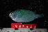  ( - NBE0623)  @12 [ ] No Rights Reserved  Unspecified Unspecified