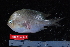  ( - NBE0649)  @13 [ ] No Rights Reserved  Unspecified Unspecified
